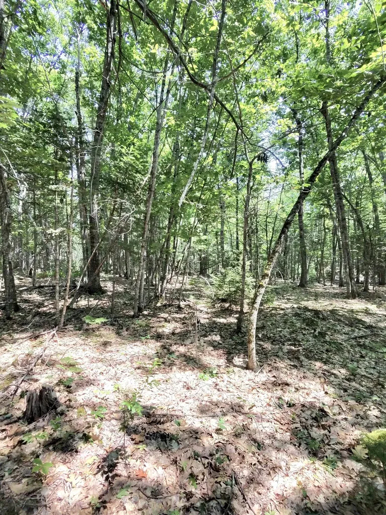 201 Mast Hill Road Bucksport ME 04416
