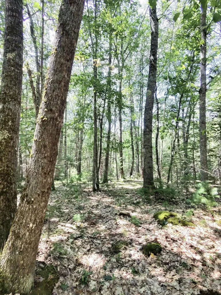 201 Mast Hill Road Bucksport ME 04416