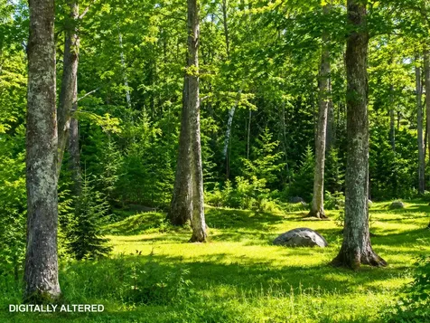 201 Mast Hill Road Bucksport ME 04416