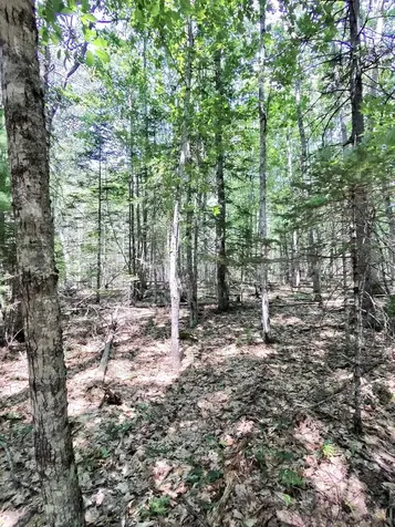 201 Mast Hill Road Bucksport ME 04416