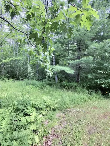 201 Mast Hill Road Bucksport ME 04416