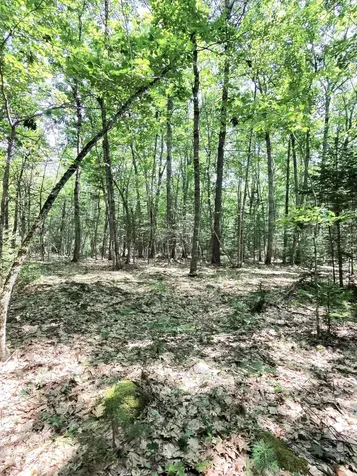 201 Mast Hill Road Bucksport ME 04416