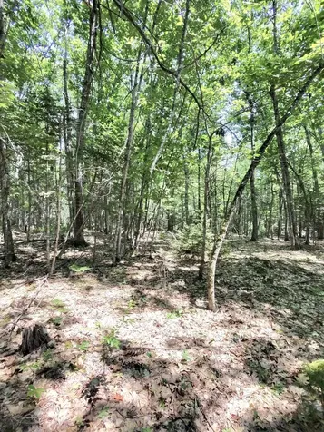 201 Mast Hill Road Bucksport ME 04416