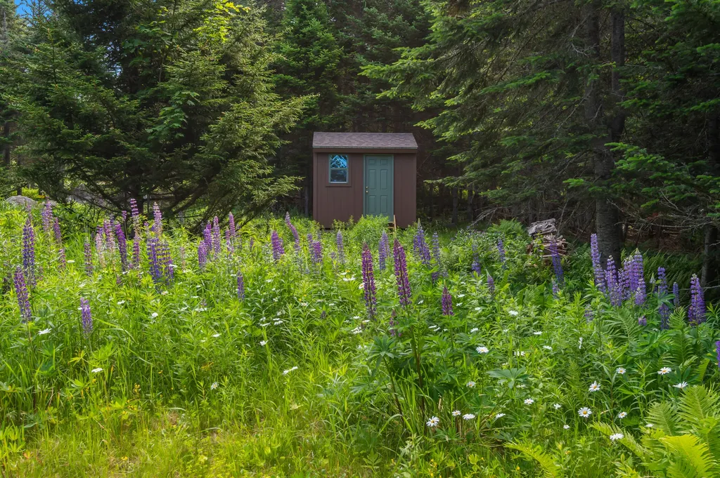 220 Quimby Pond Road Rangeley ME 04970