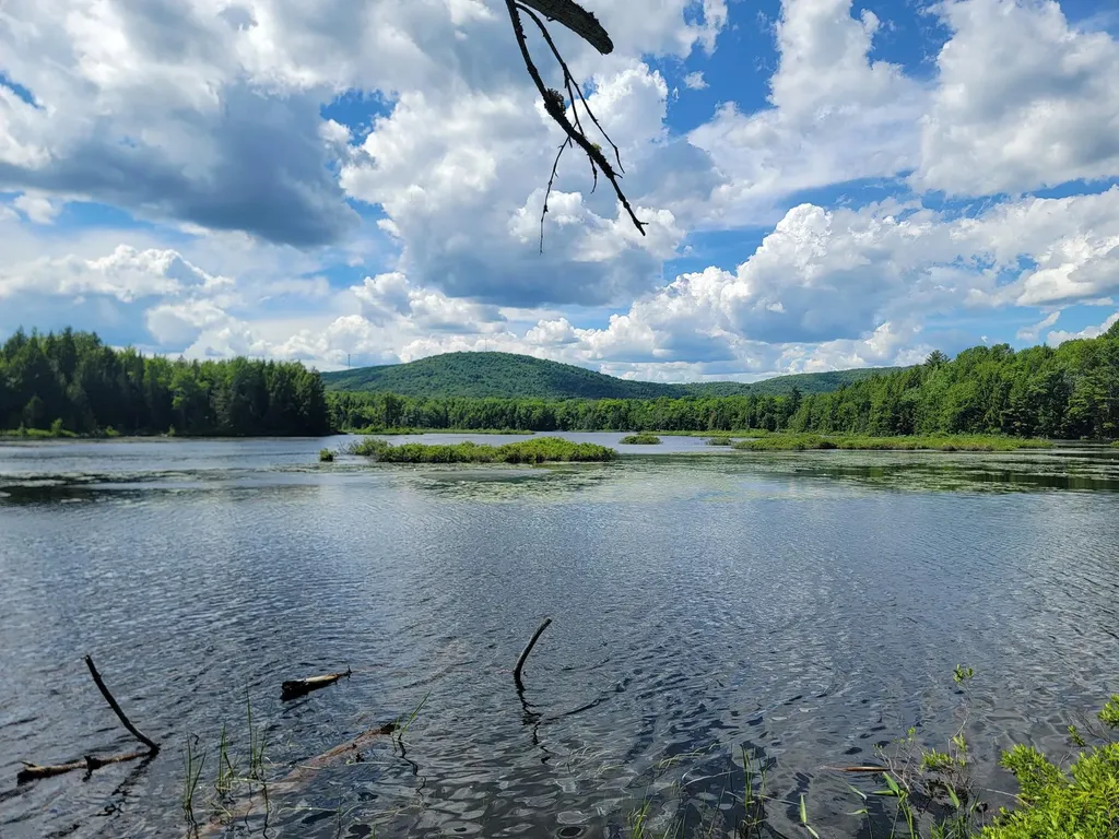 477 Hadley Mill Road Jackson ME 04921