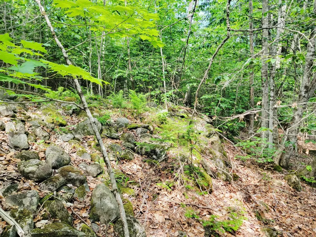 477 Hadley Mill Road Jackson ME 04921