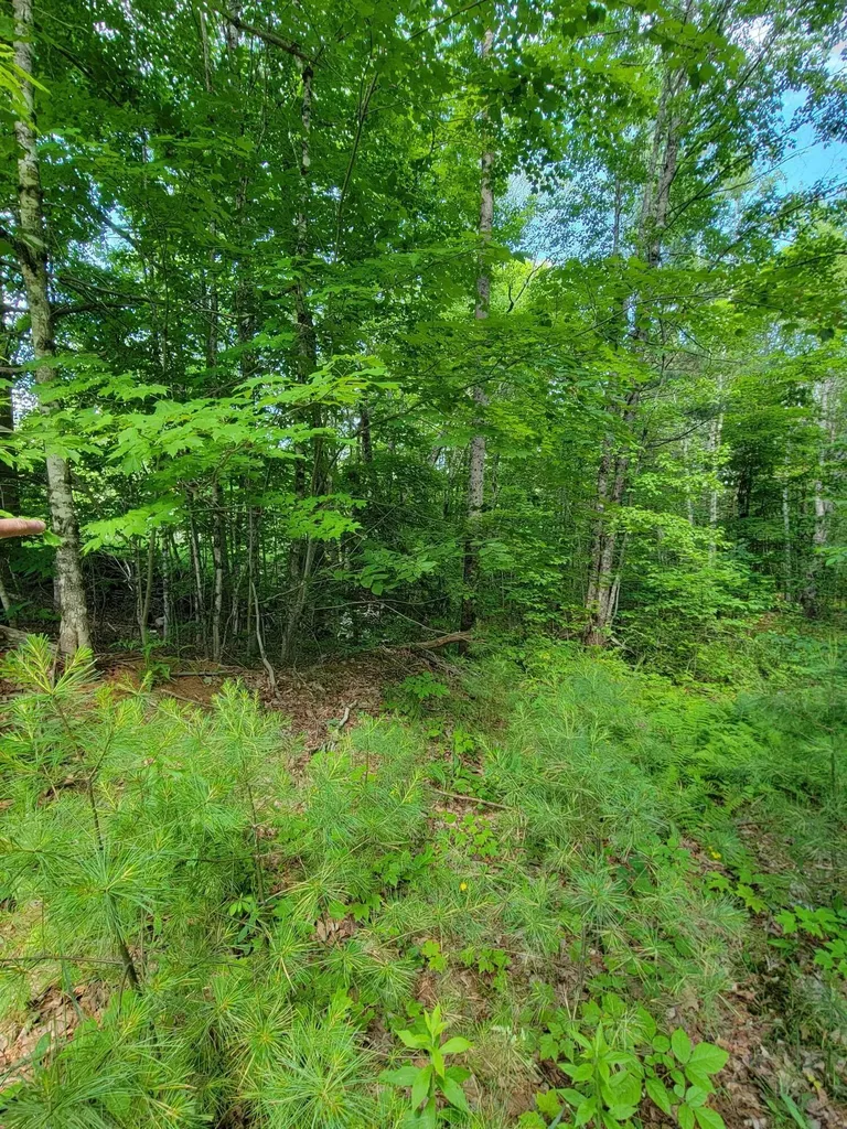 477 Hadley Mill Road Jackson ME 04921