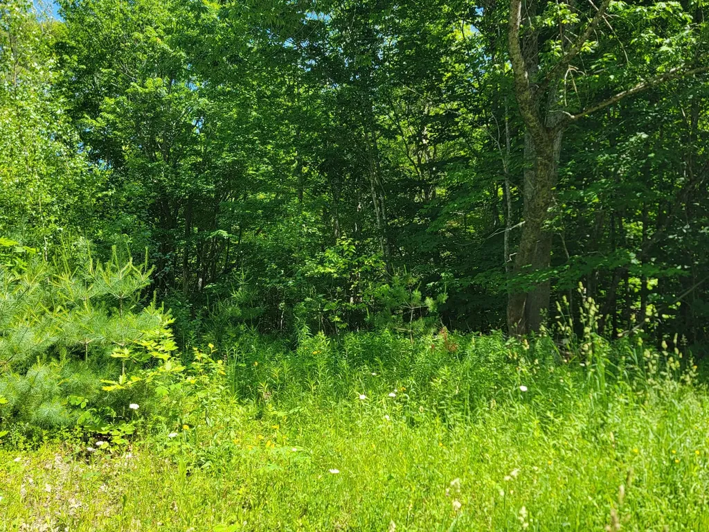 477 Hadley Mill Road Jackson ME 04921