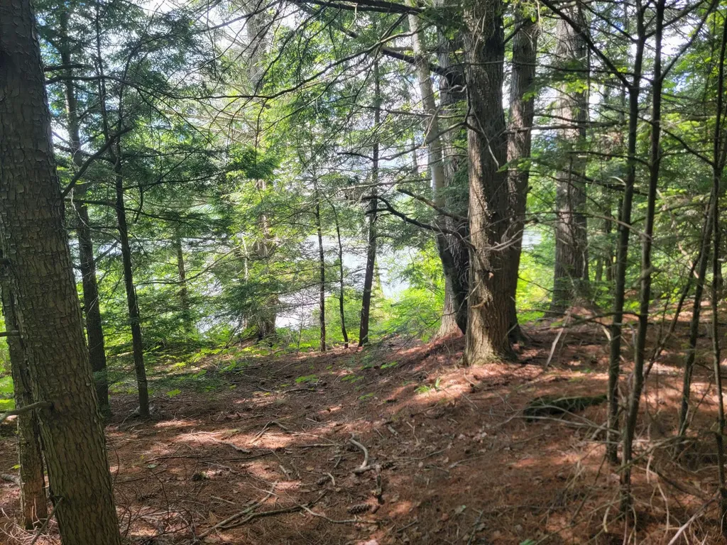 477 Hadley Mill Road Jackson ME 04921