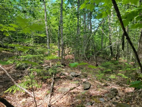477 Hadley Mill Road Jackson ME 04921
