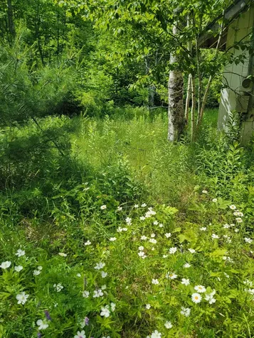 477 Hadley Mill Road Jackson ME 04921