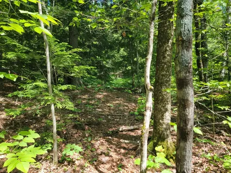477 Hadley Mill Road Jackson ME 04921