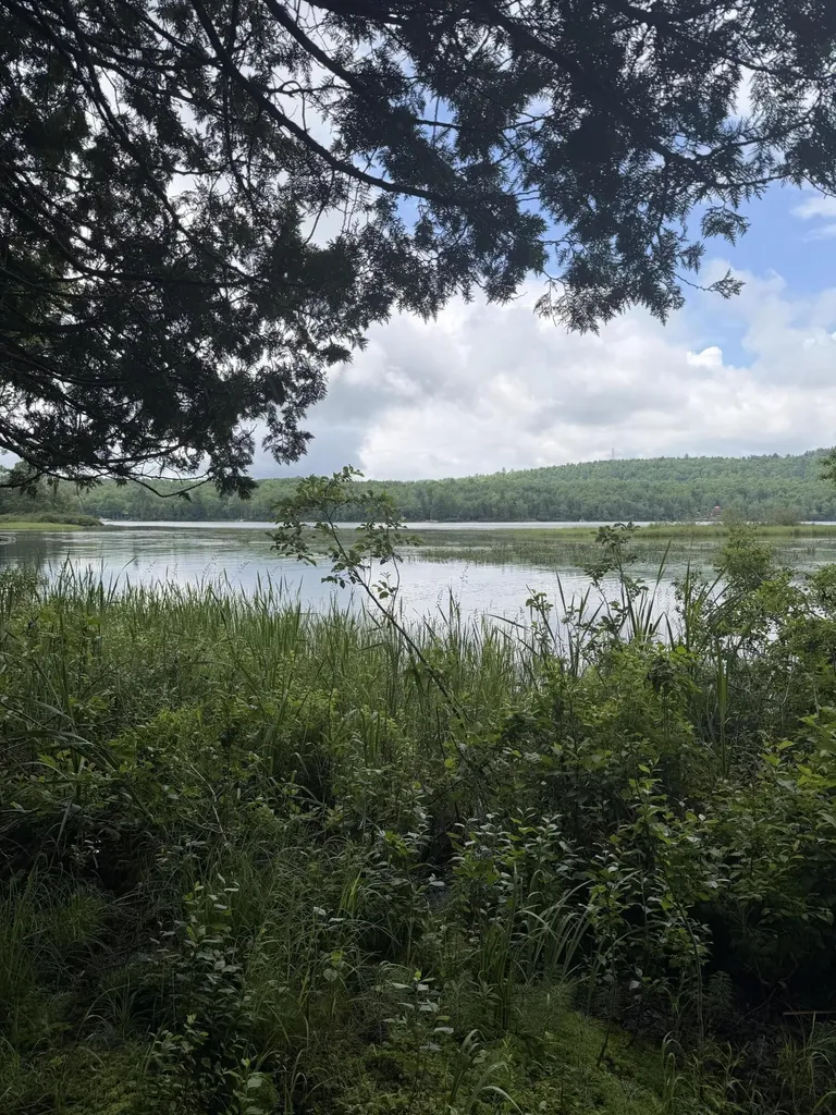 M1L112 Cove/bear Brook Road Sebec ME 04481