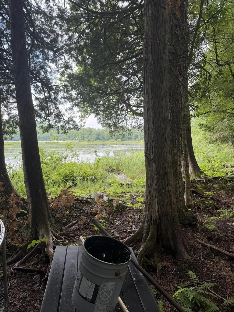 M1L112 Cove/bear Brook Road Sebec ME 04481