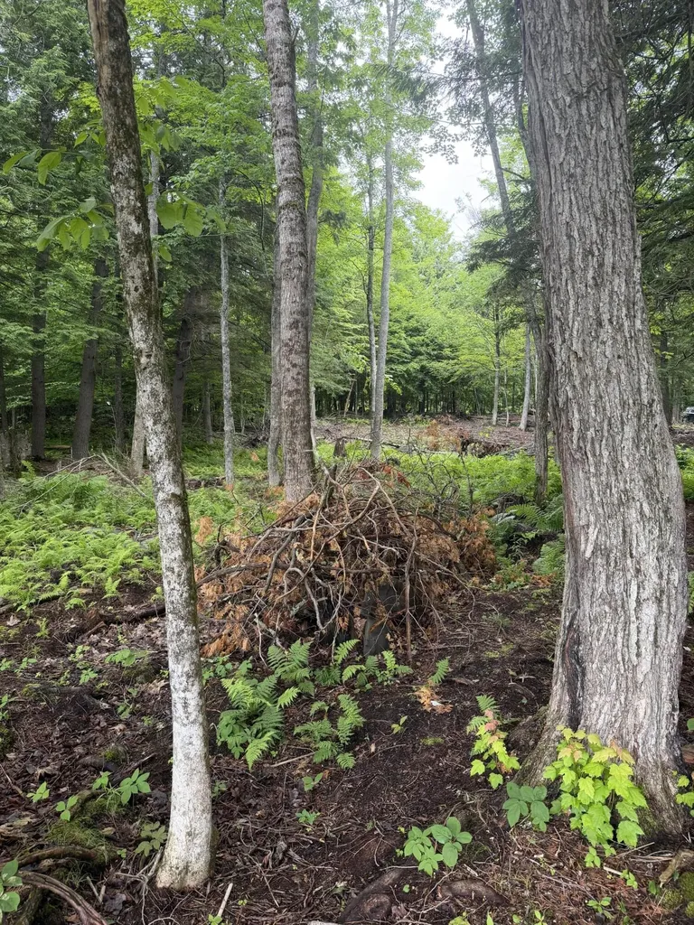 M1L112 Cove/bear Brook Road Sebec ME 04481