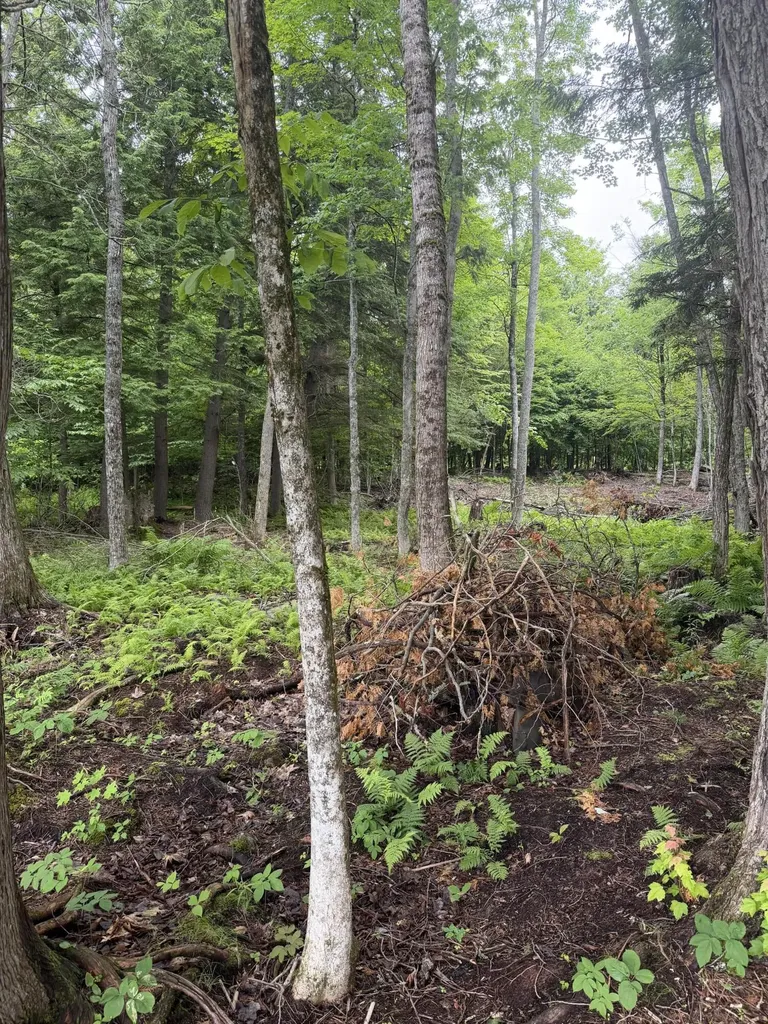 M1L112 Cove/bear Brook Road Sebec ME 04481
