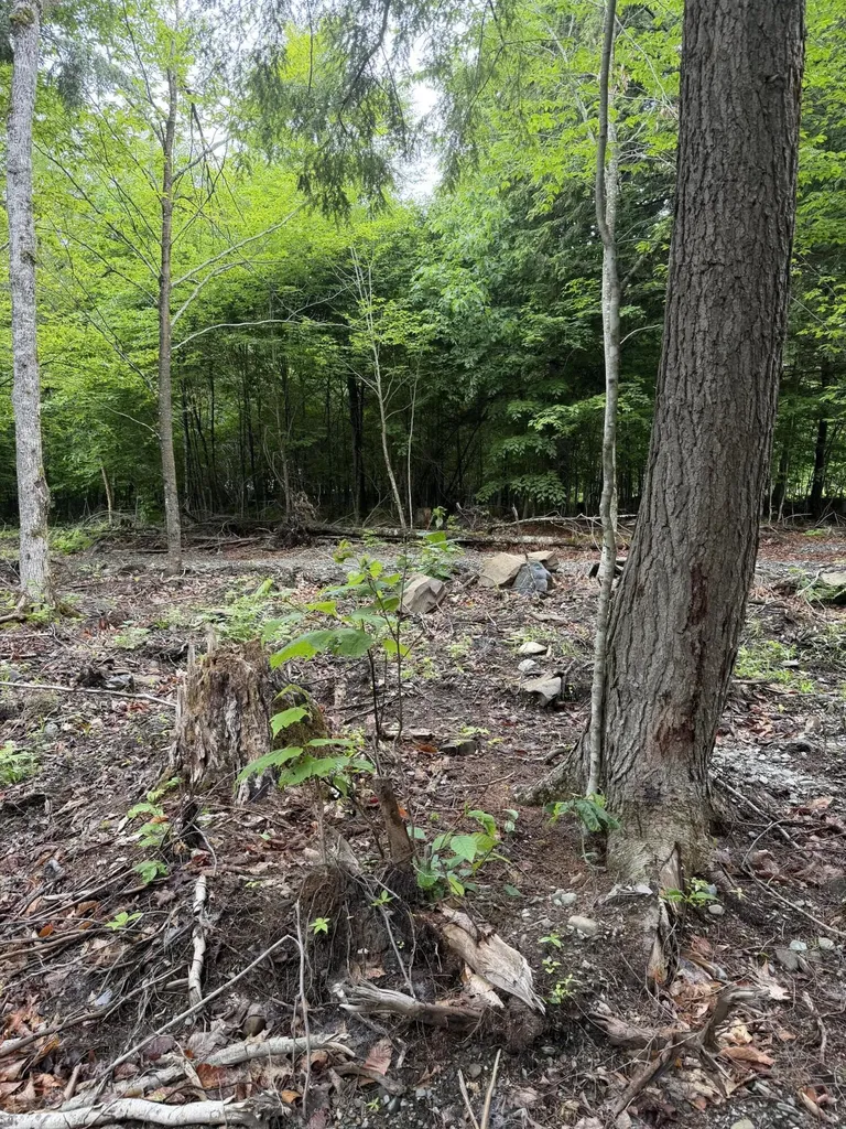 M1L112 Cove/bear Brook Road Sebec ME 04481
