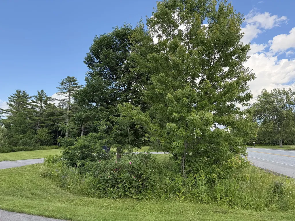 3881 Broadway Kenduskeag ME 04450