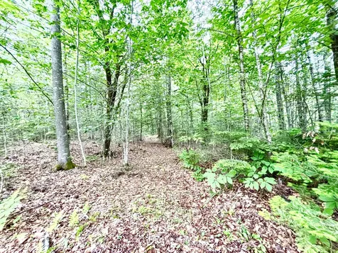 699 Charleston Road Dexter ME 04930