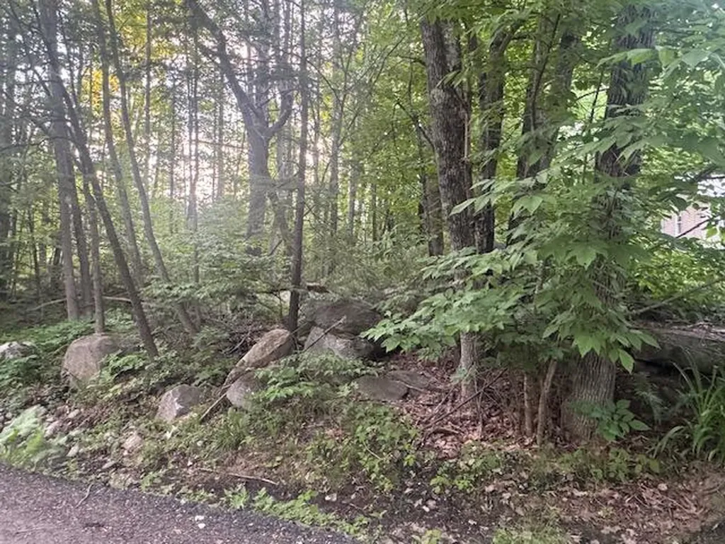 Lot 28 Lakeshore Drive Belgrade ME 04918