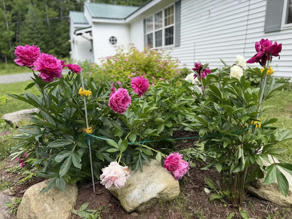 629 Greeley's Landing Road Dover-foxcroft ME 04426