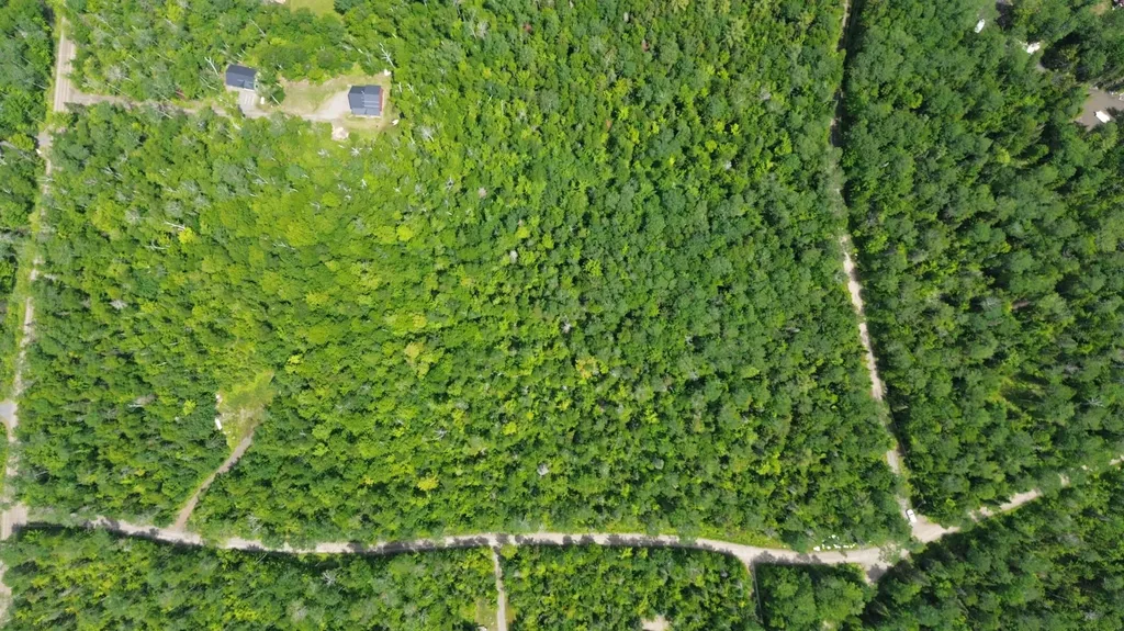 Lot 10 Moose Road Rangeley Plt ME 04970
