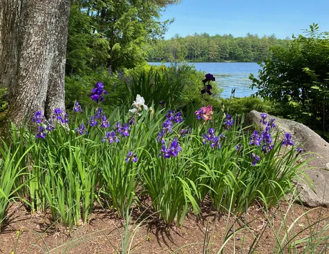37 Moose Pond Drive Bridgton ME 04009