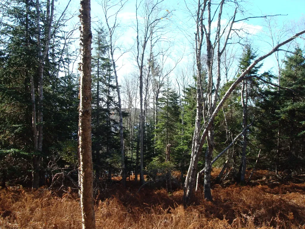 M26, L5 Deep Cove Lane Islesboro ME 04848
