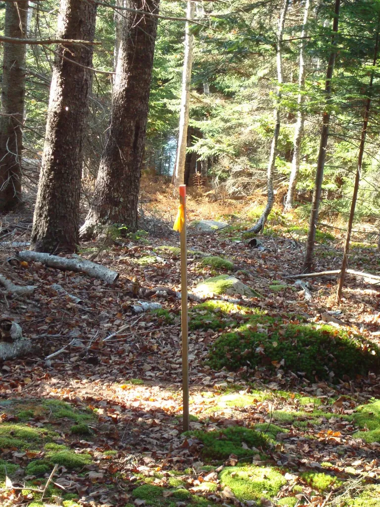 M26, L5 Deep Cove Lane Islesboro ME 04848