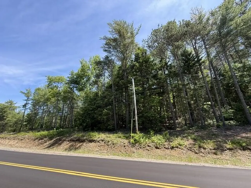 Lot 5 & 10 Charlotte Road Charlotte ME 04666