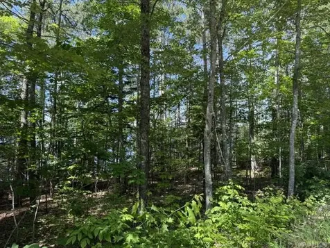 Lot 5 & 10 Charlotte Road Charlotte ME 04666