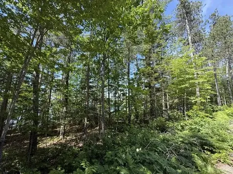 Lot 5 & 10 Charlotte Road Charlotte ME 04666