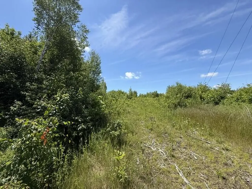 MAP10LOTP 214 Meddybemps ME 04657