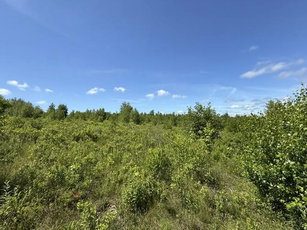 MAP10LOTP 214 Meddybemps ME 04657
