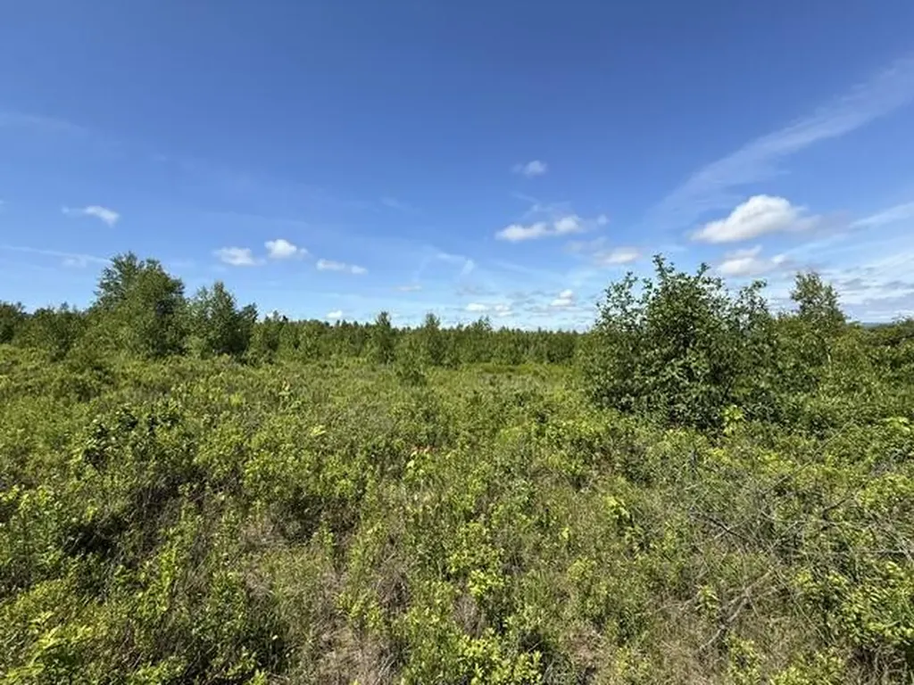 MAP10LOTP 214 Meddybemps ME 04657