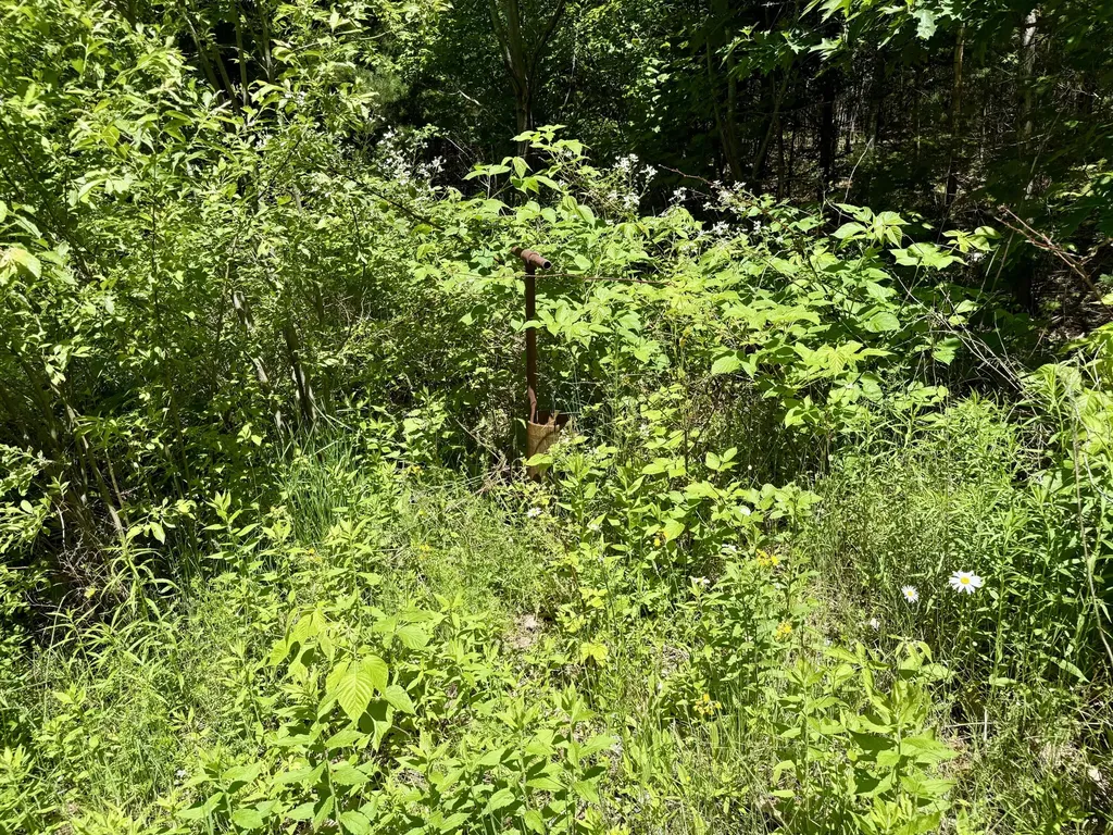 390 Upper Long Pond Bucksport ME 04416