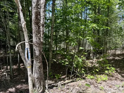 390 Upper Long Pond Bucksport ME 04416