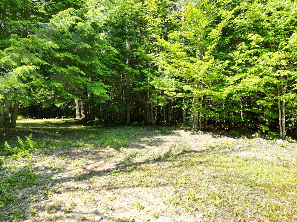 195 W Old Main Road Lowell ME 04493