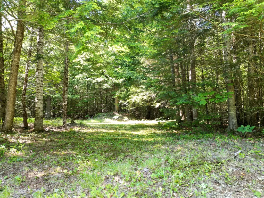 195 W Old Main Road Lowell ME 04493