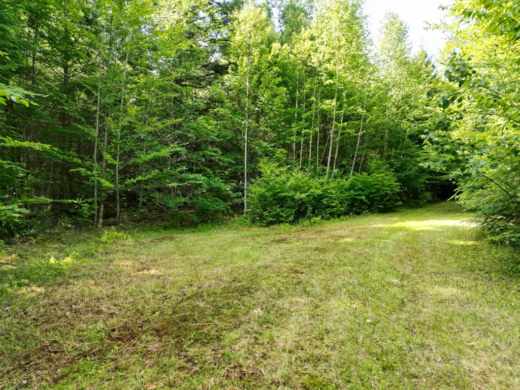 195 W Old Main Road Lowell ME 04493