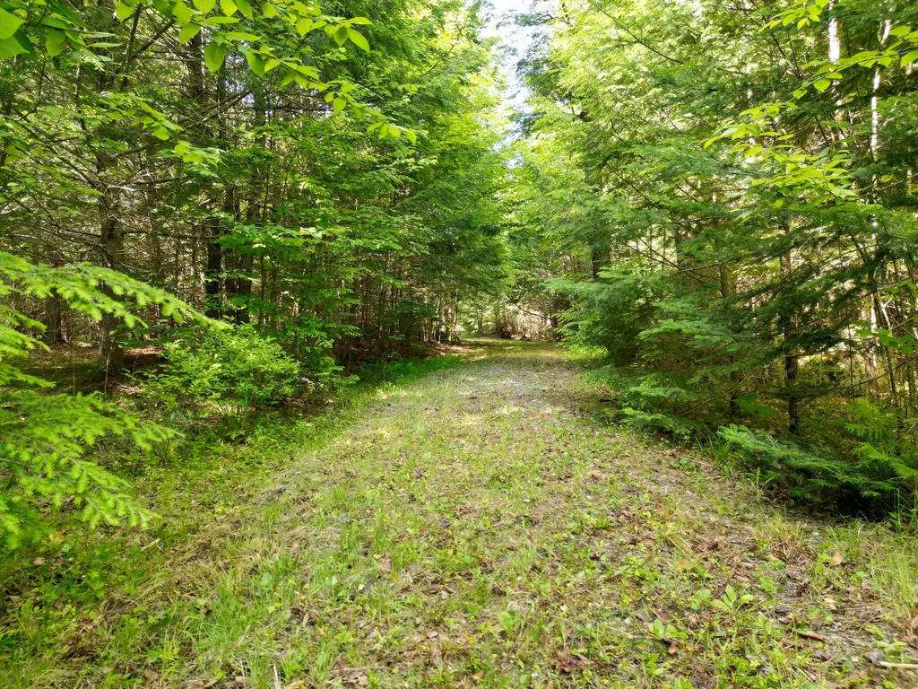 195 W Old Main Road Lowell ME 04493