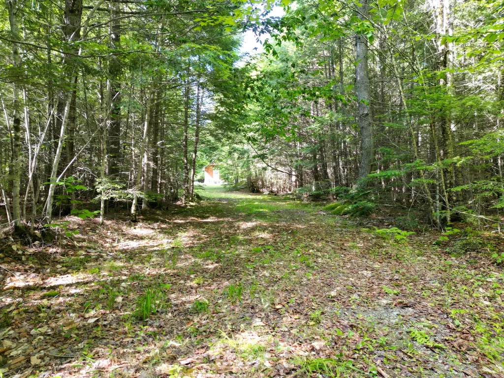 195 W Old Main Road Lowell ME 04493