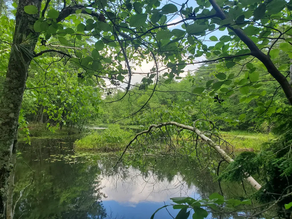 Lot #36 Beaver Brook Road Limerick ME 04048