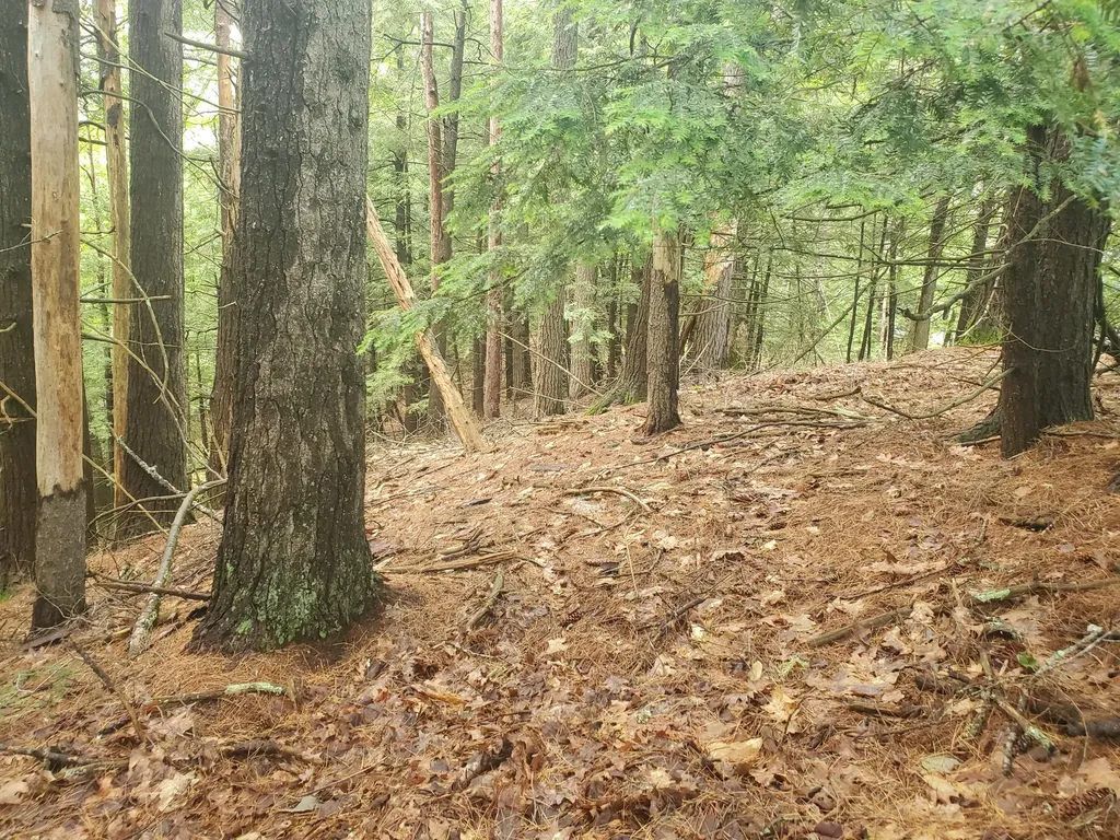 Lot #36 Beaver Brook Road Limerick ME 04048