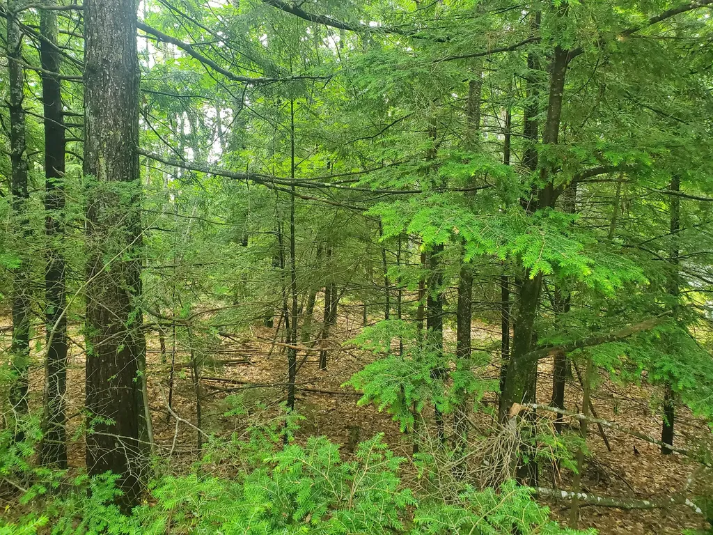 Lot #36 Beaver Brook Road Limerick ME 04048