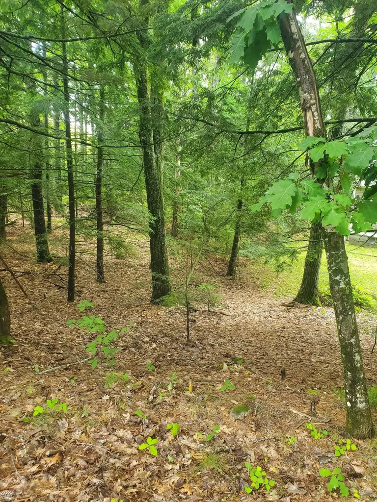 Lot #36 Beaver Brook Road Limerick ME 04048
