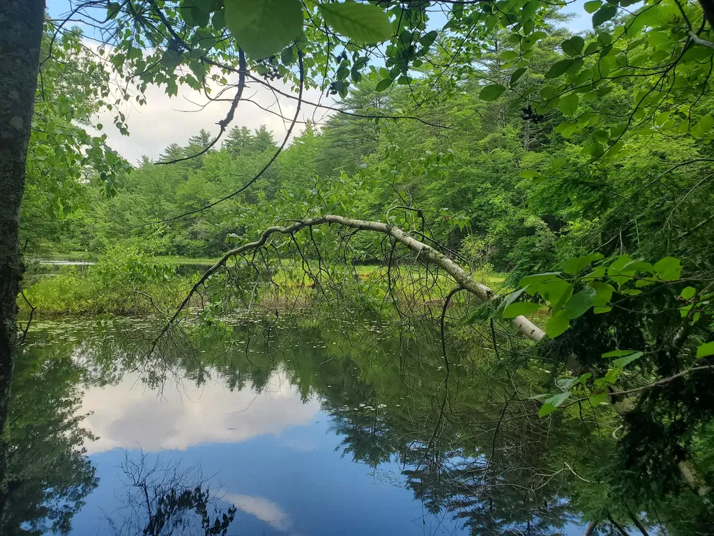 Lot #36 Beaver Brook Road Limerick ME 04048