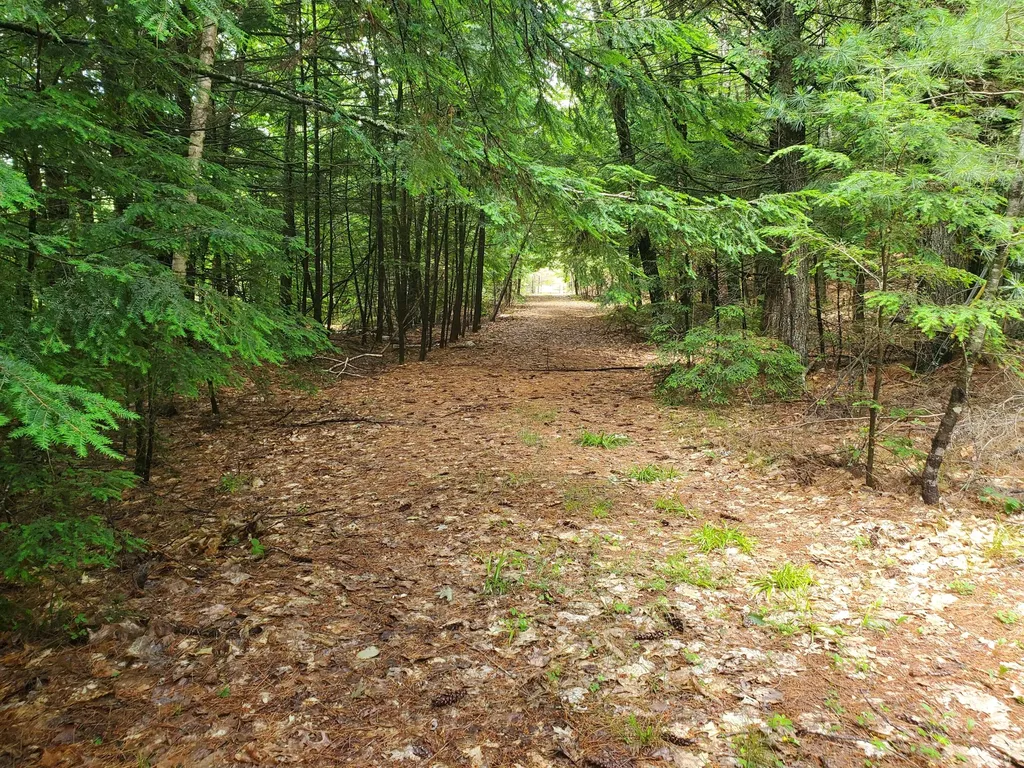 Lot #36 Beaver Brook Road Limerick ME 04048