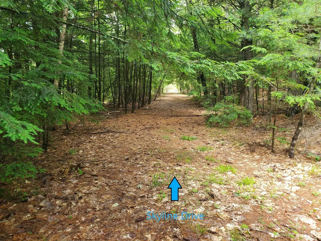Lot #36 Beaver Brook Road Limerick ME 04048