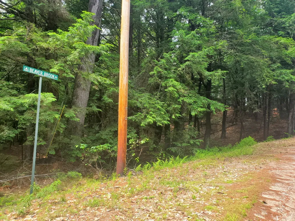 Lot #36 Beaver Brook Road Limerick ME 04048